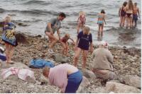 thm_Sommer2003 029.jpg